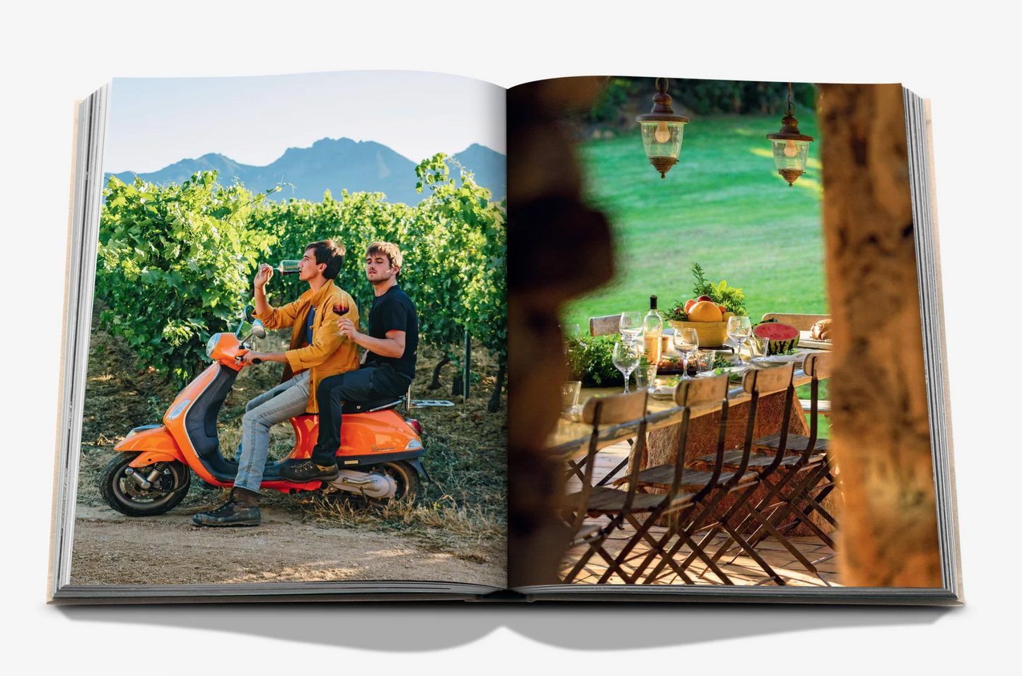 Wine & Travel France