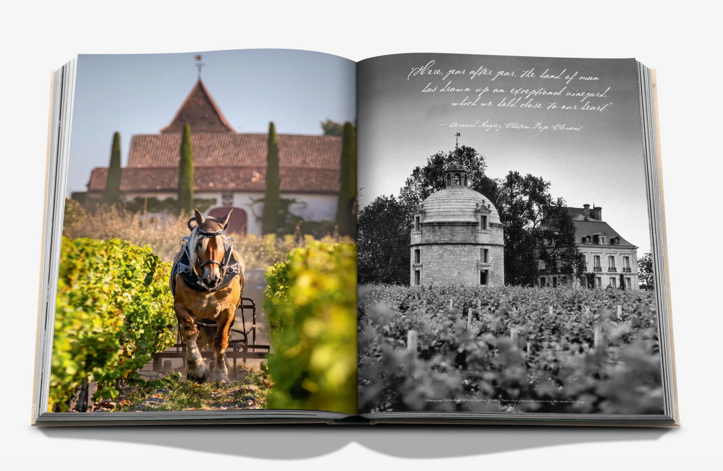 Wine & Travel France