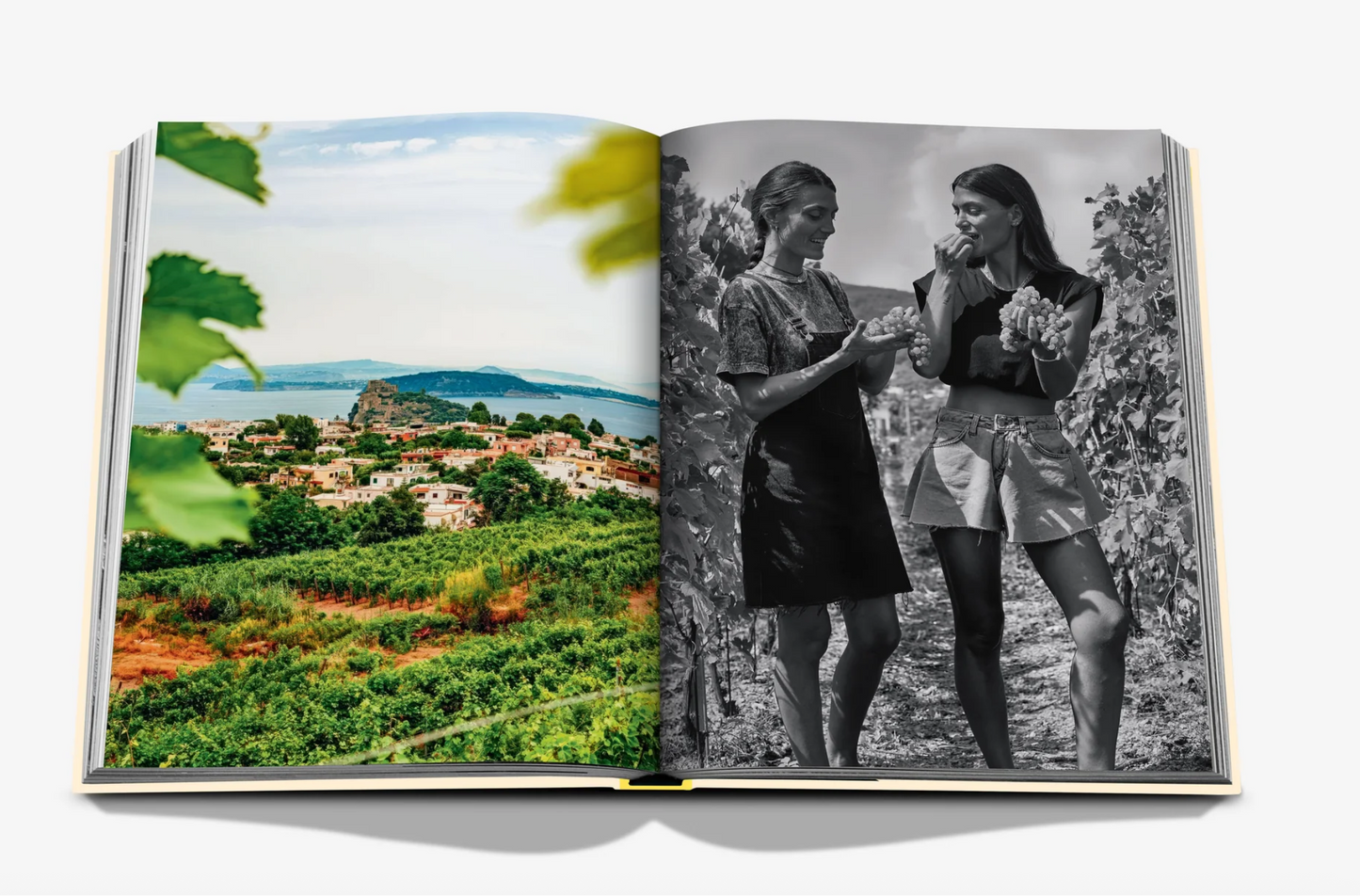 Wine & Travel Mediterranean Islands