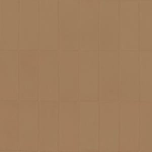 Collection Arte Corium - Pattern Paladin