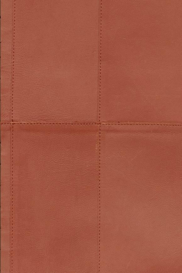 Collection Arte Corium - Pattern Paladin