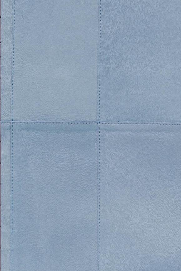Collection Arte Corium - Pattern Paladin