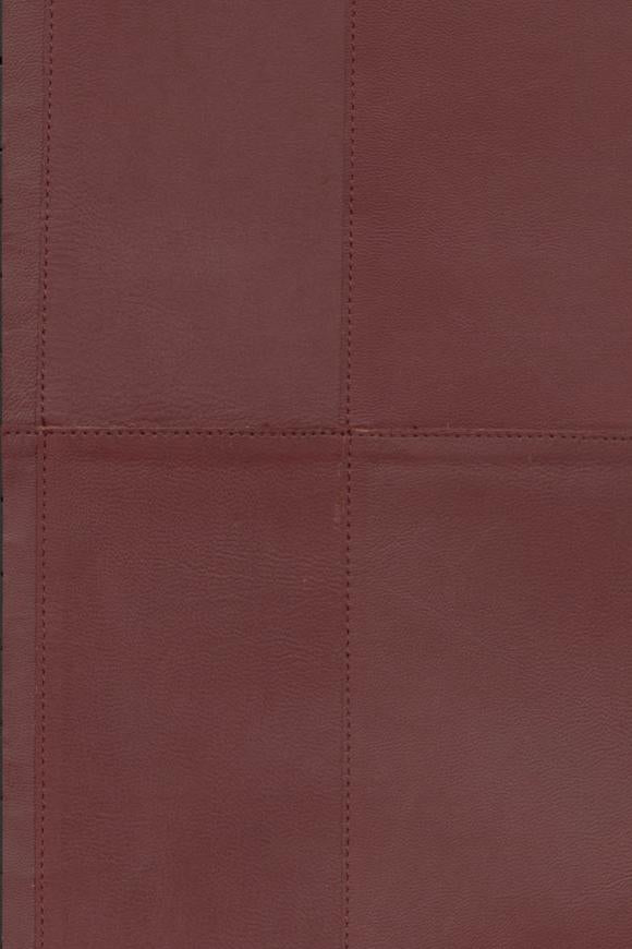 Collection Arte Corium - Pattern Paladin