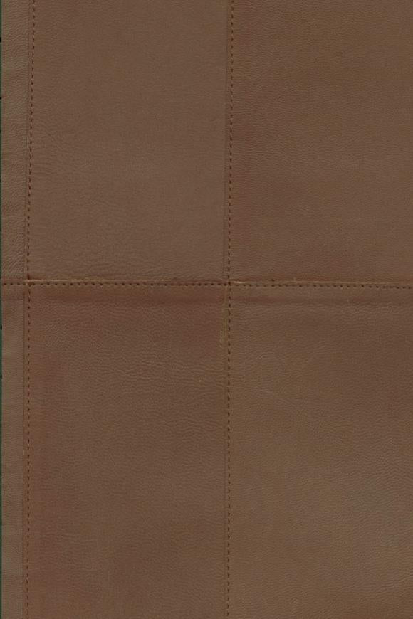 Collection Arte Corium - Pattern Paladin