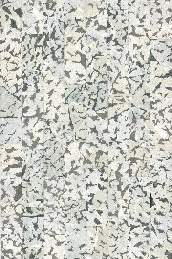 Collection Extinct Animals - Armoured Boar