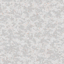 Load image into Gallery viewer, Collection Extinct Animals - Bearded Leopard

