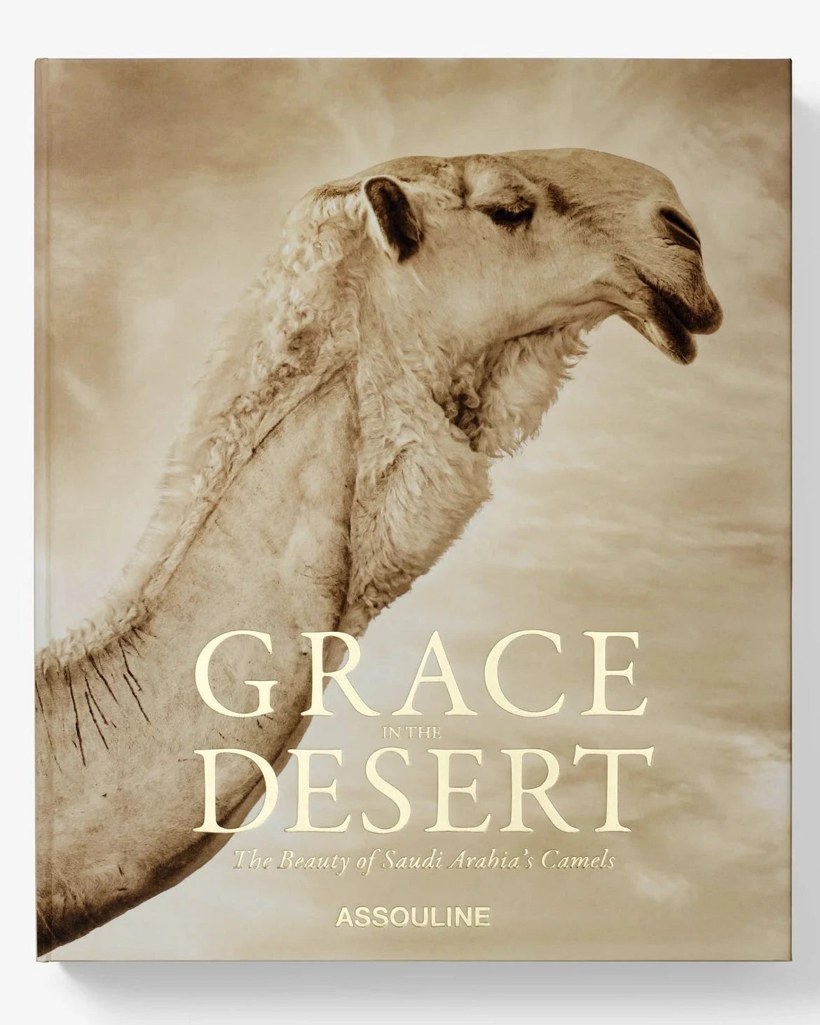 Grace in The Desert: The Beauty of Saudi Arabia's Camels