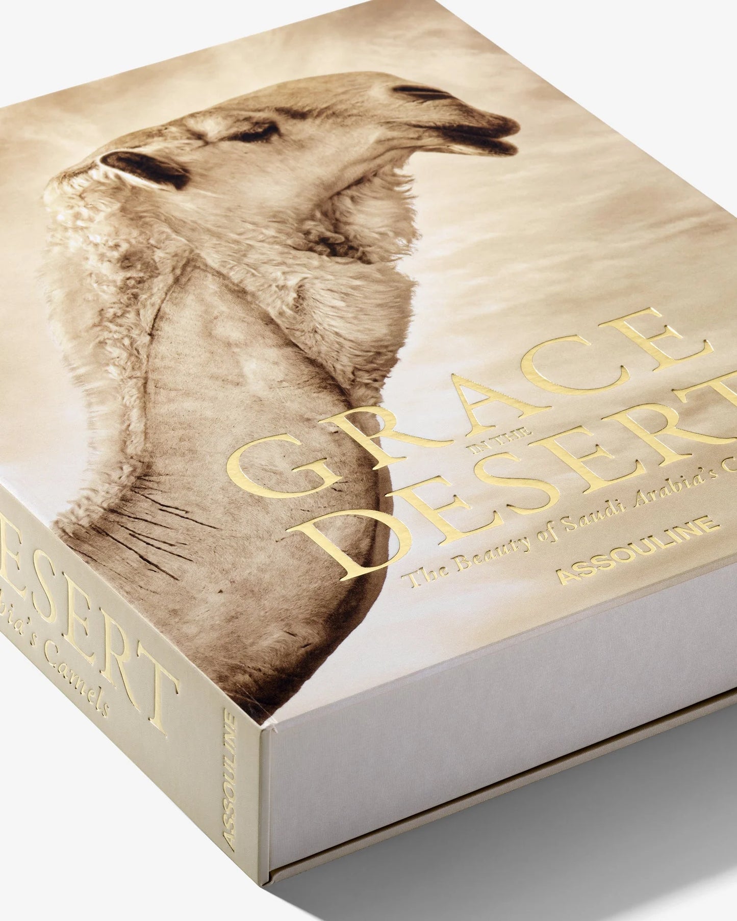 Grace in The Desert: The Beauty of Saudi Arabia's Camels