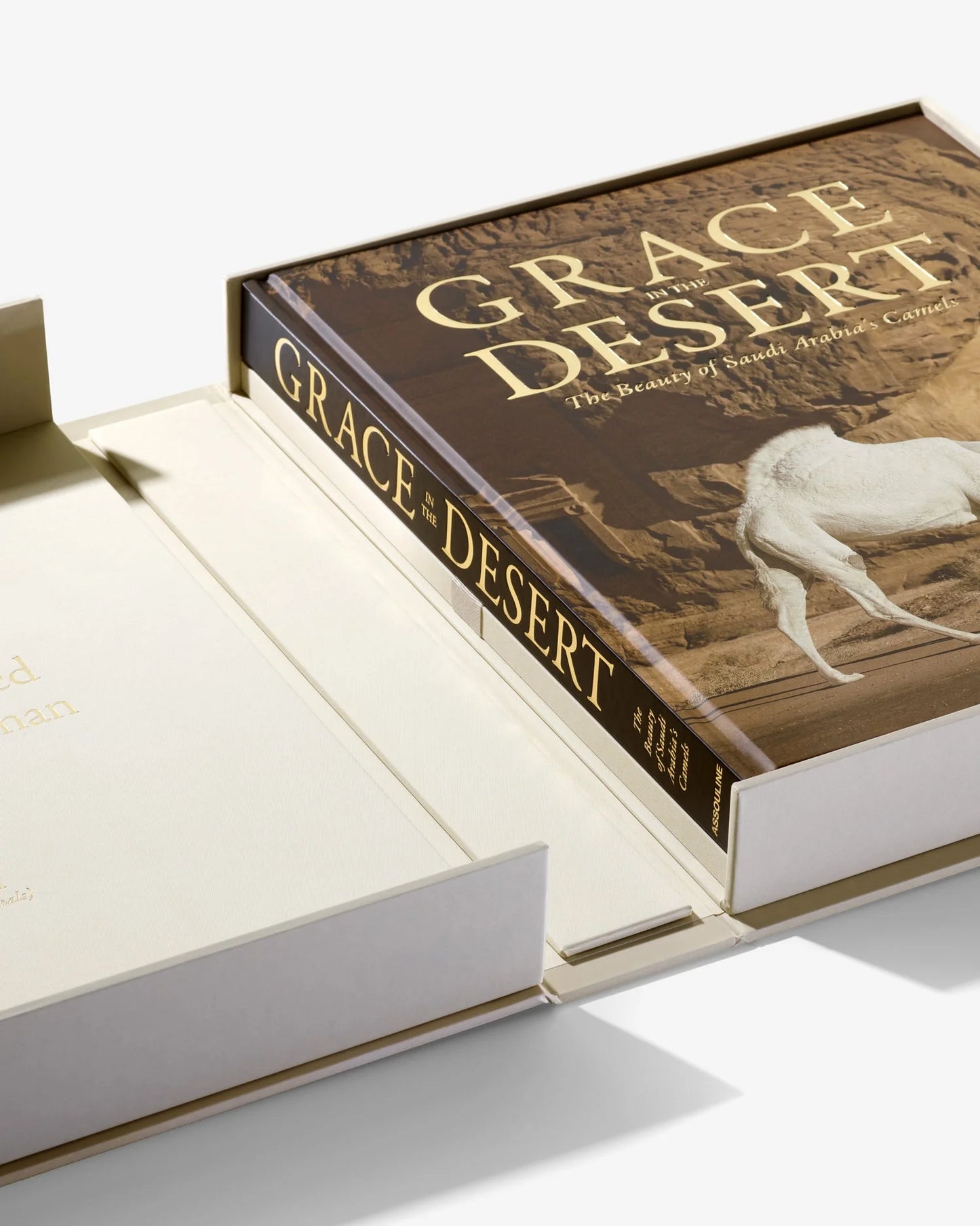 Grace in The Desert: The Beauty of Saudi Arabia's Camels