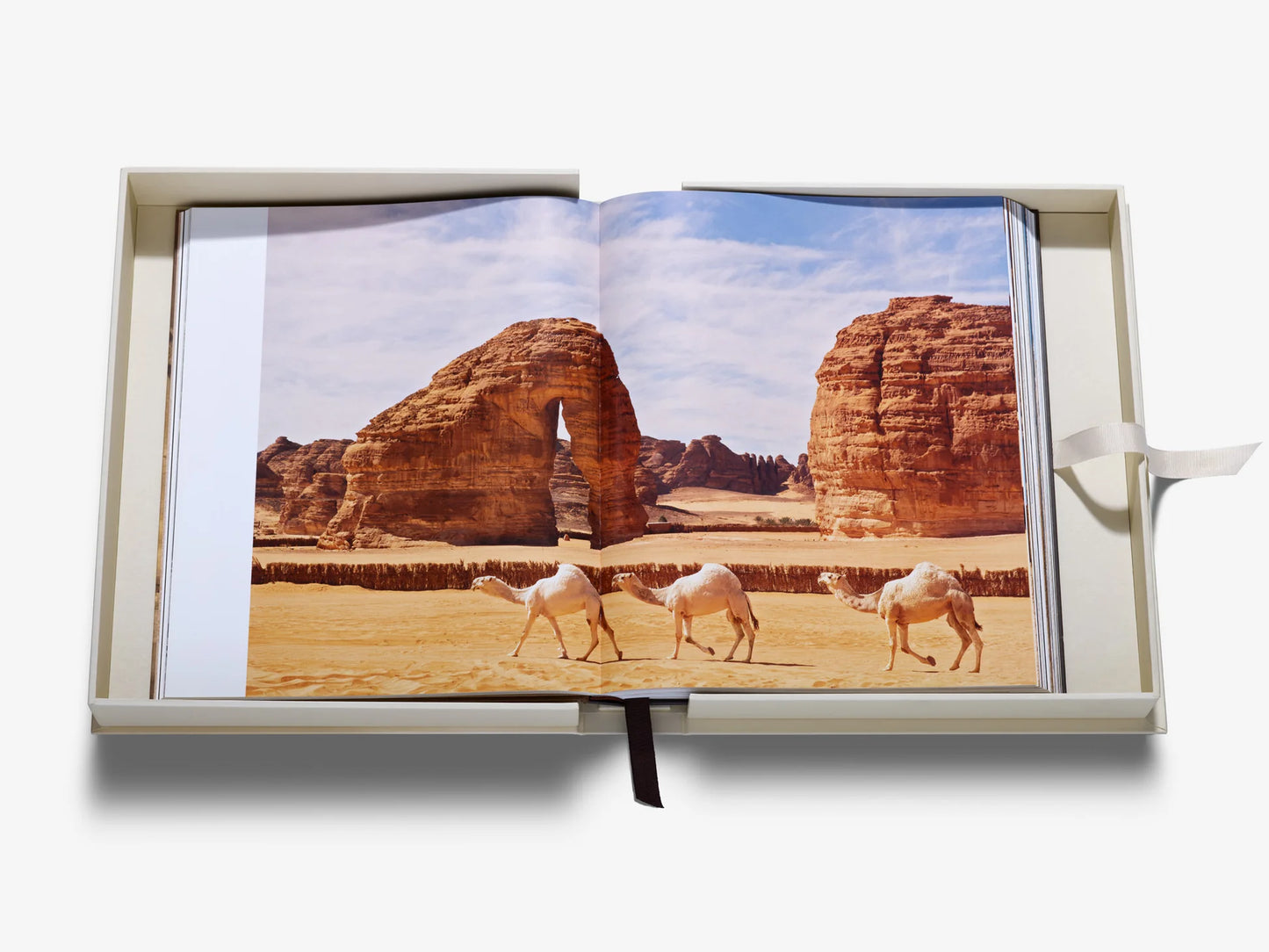 Grace in The Desert: The Beauty of Saudi Arabia's Camels