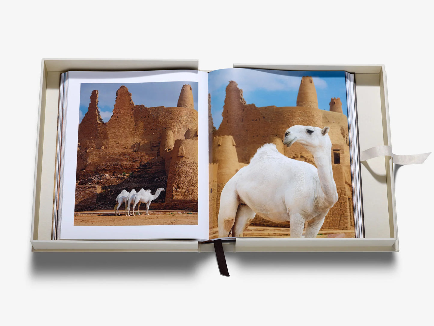 Grace in The Desert: The Beauty of Saudi Arabia's Camels