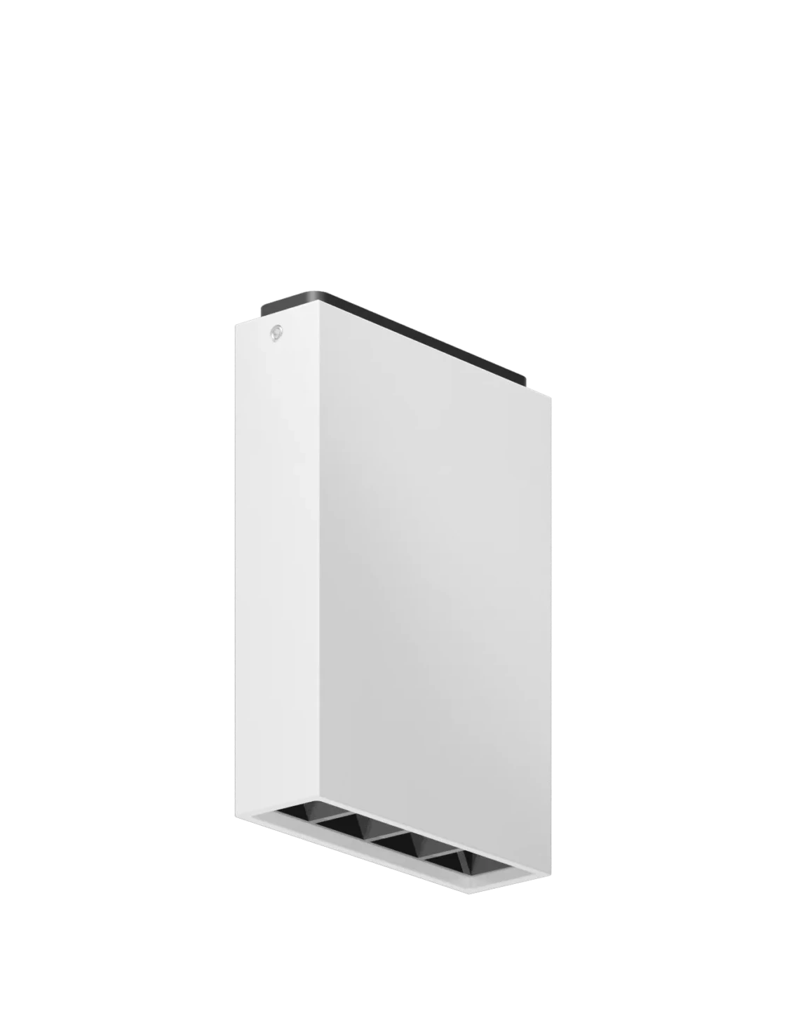Lateris Ceiling lamp