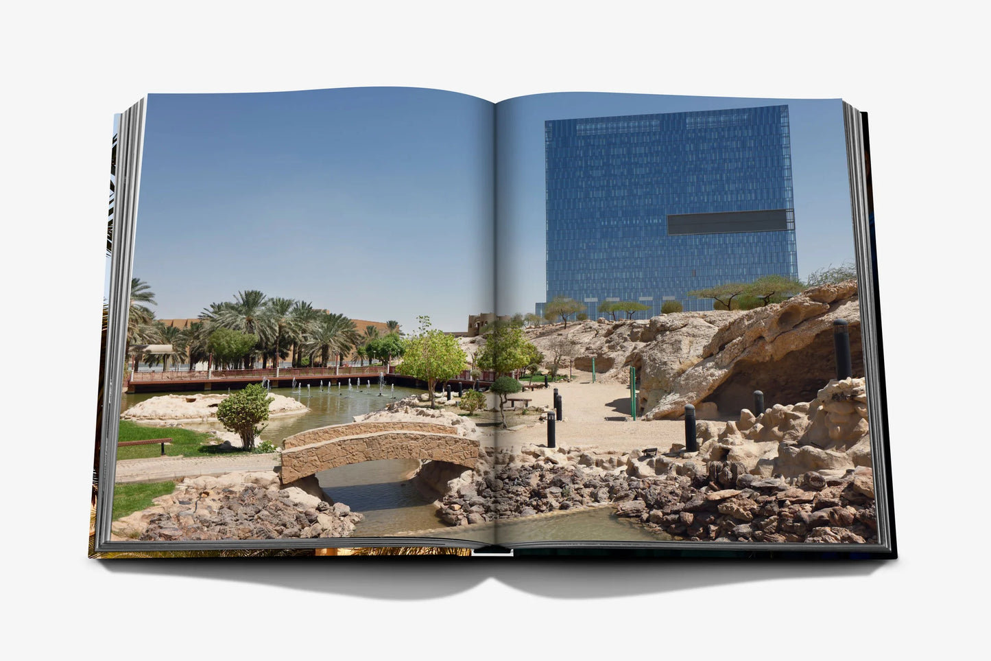 The Heart of the Desert: Transforming Global Healthcare