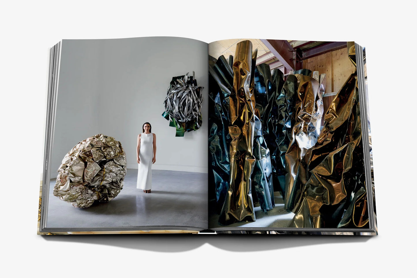 Living with Chamberlain, Art in Residence (Special Edition)