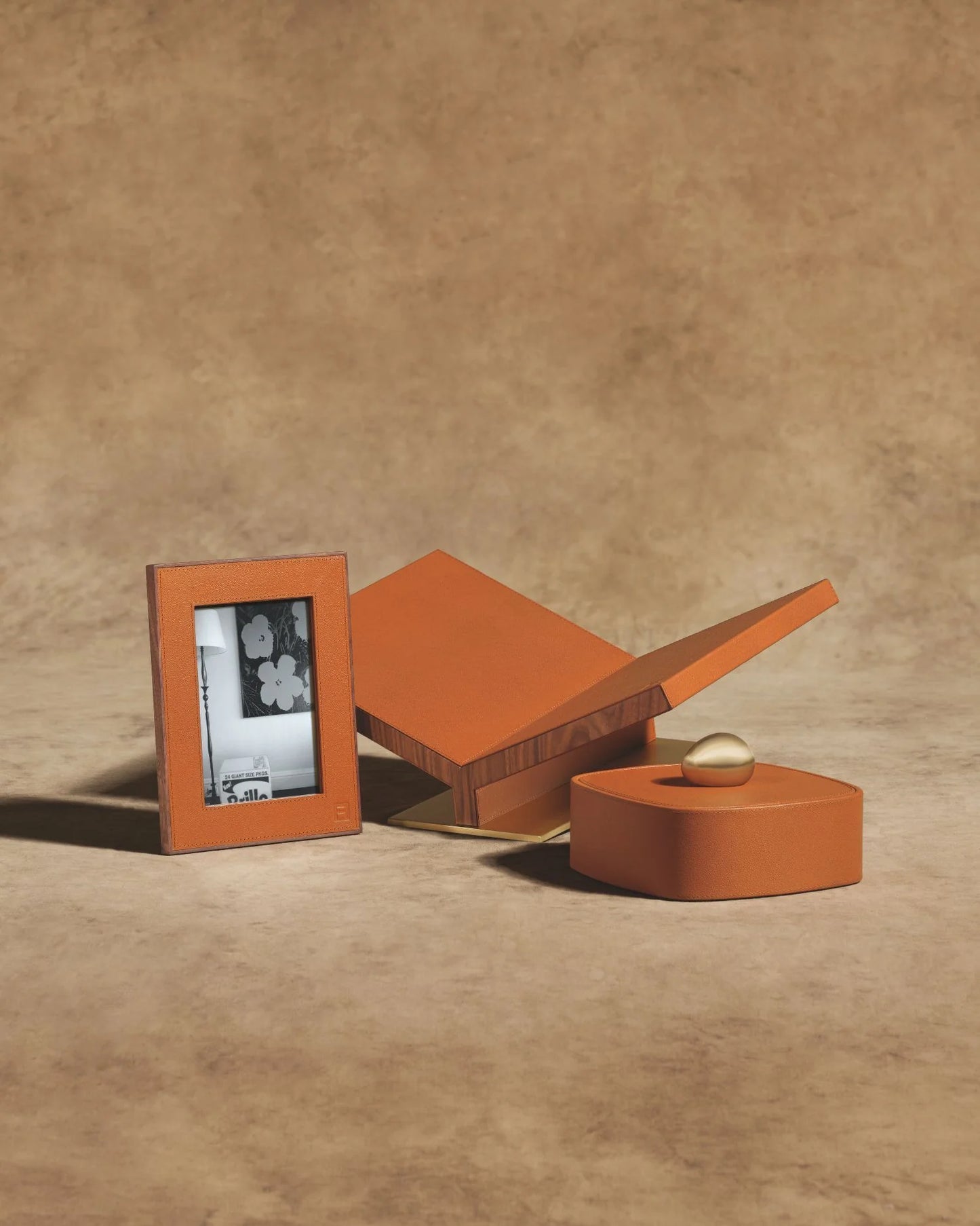 Collector Bookstand Camel