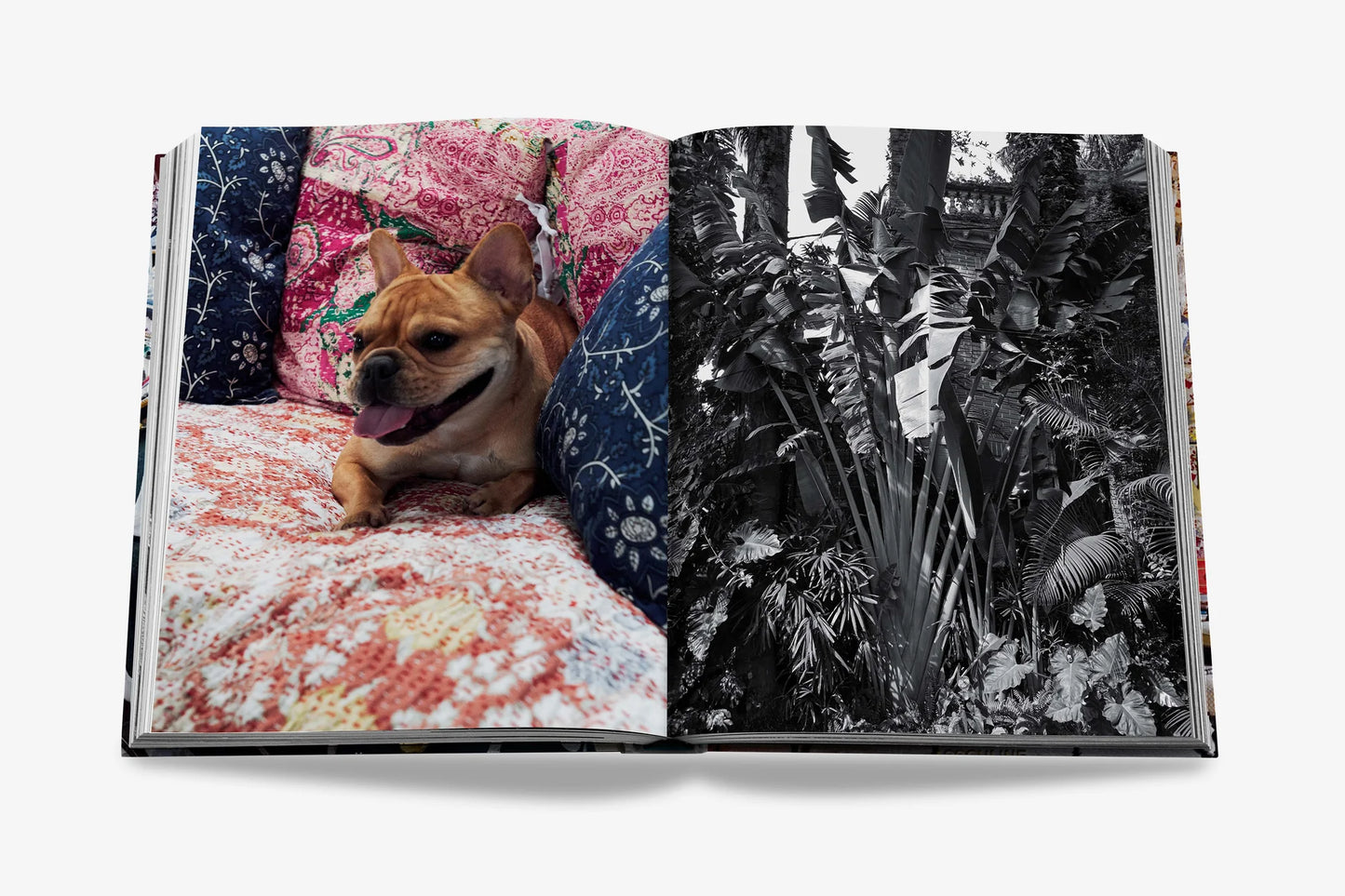 Maximalism by Sig Bergamin