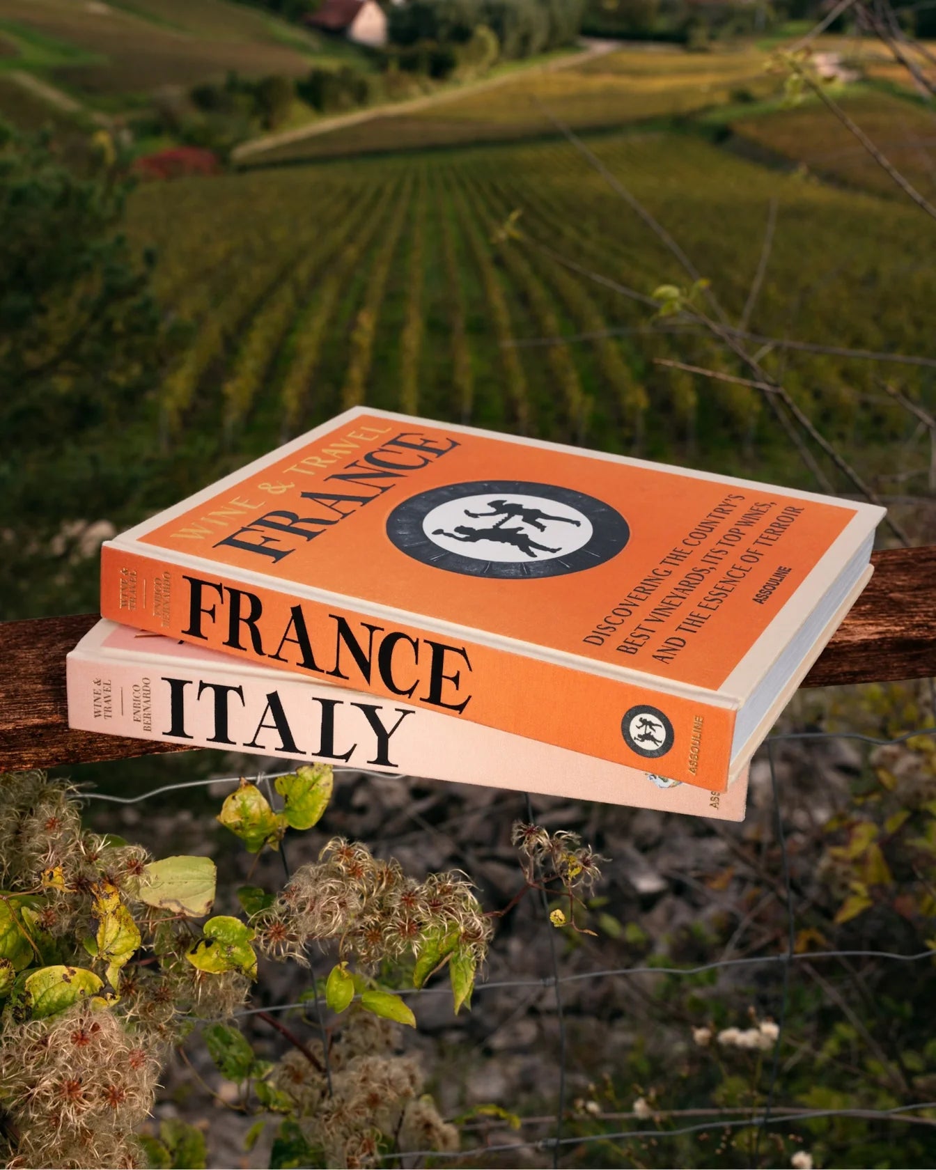 Wine & Travel France