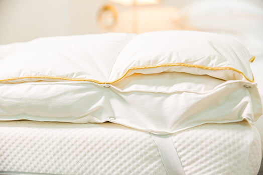 Featherbed - Platinum edition