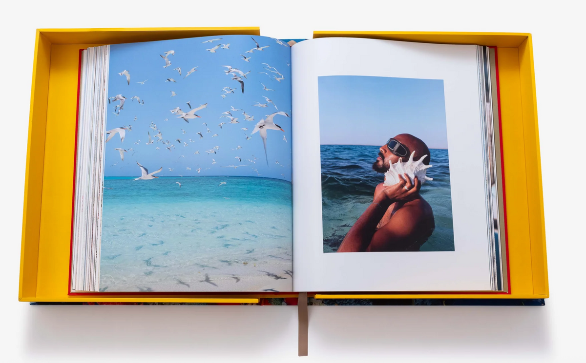 Saudi Arabia: Red Sea, the Saudi Coast - (Ultimate Collection)