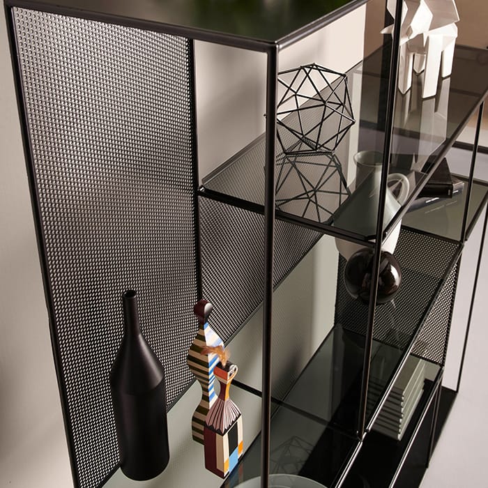 Sarabi Glass and Steel Bookcase