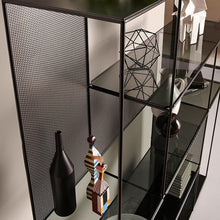 Load image into Gallery viewer, Sarabi Glass and Steel Bookcase
