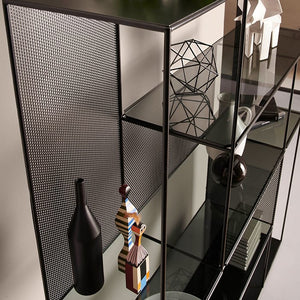 Sarabi Glass and Steel Bookcase