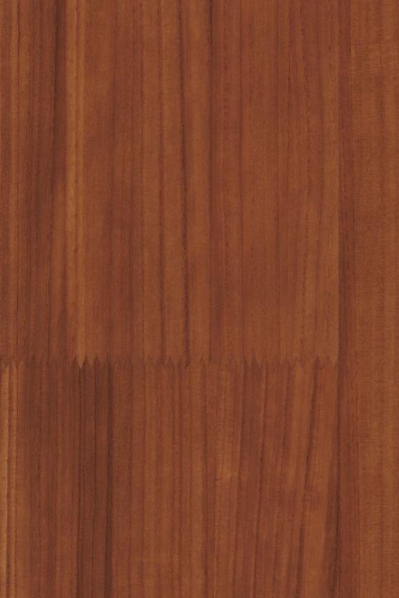 Collection Arte  Senah - Pattern Sereno