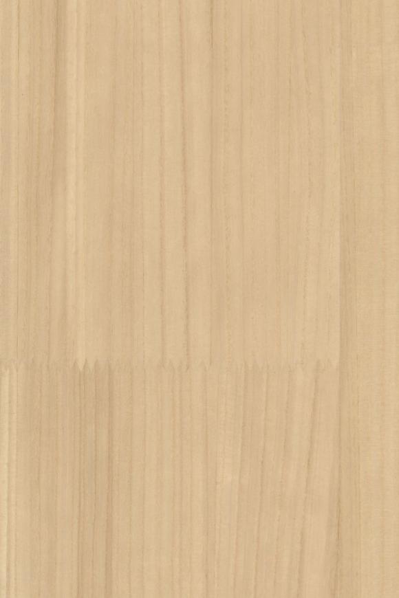 Collection Arte  Senah - Pattern Sereno
