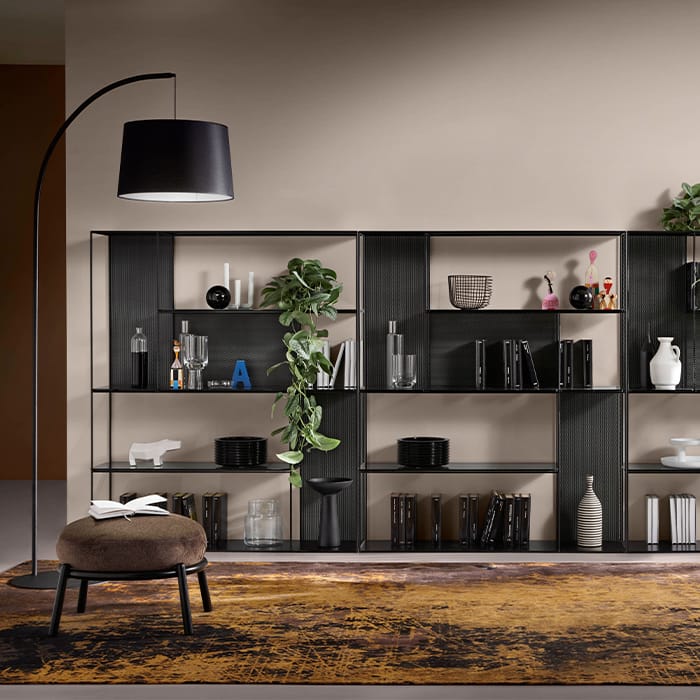 Sarabi Glass and Steel Bookcase