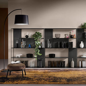 Sarabi Glass and Steel Bookcase