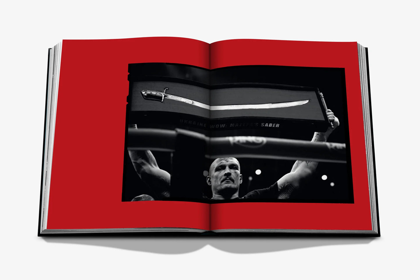 Undisputed: Usyk vs. Fury (Legend)