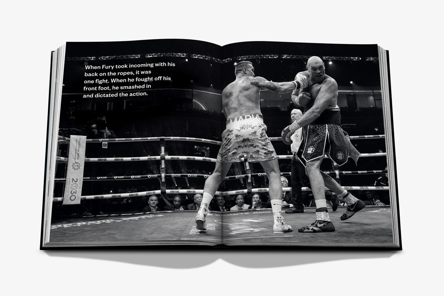 Undisputed: Usyk vs. Fury (Legend)