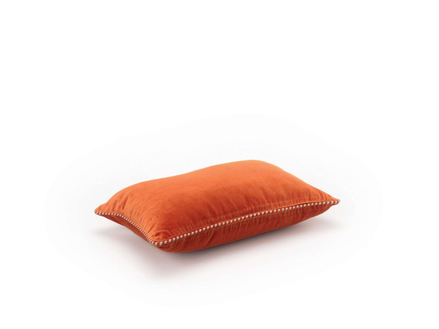 Olympe - pumpkin