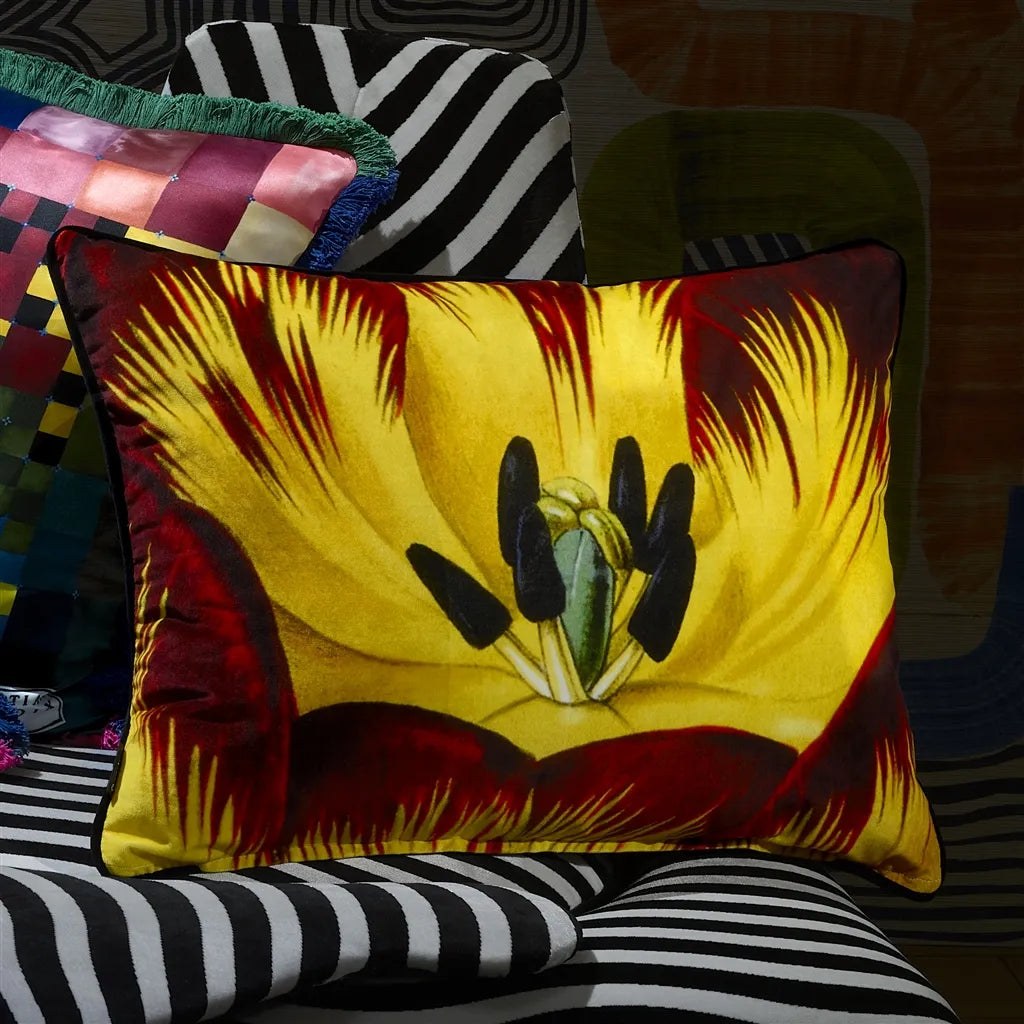 Eclosion Agate cushion