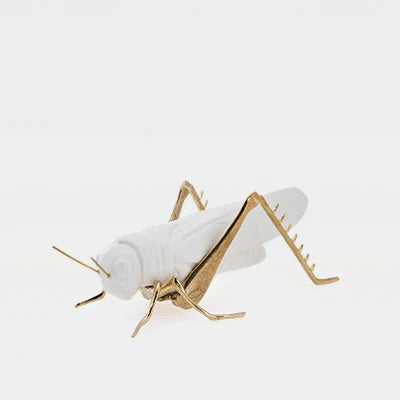 Grasshopper - Matt With