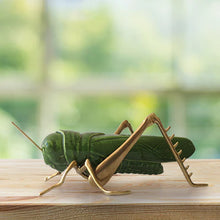 Load image into Gallery viewer, Grasshopper - Green with Brass Legs
