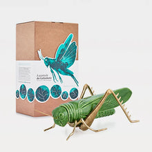 Load image into Gallery viewer, Grasshopper - Green with Brass Legs
