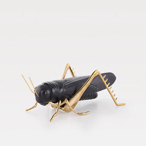 Grasshopper - Matt Black