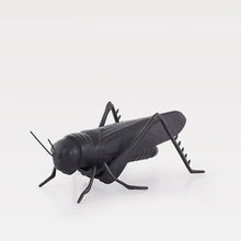 Carregar imagem no visualizador da galeria, Grasshopper - Matt Black with Oxidised Brass
