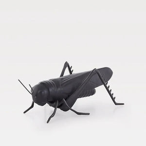 Grasshopper - Matt Black with Oxidised Brass