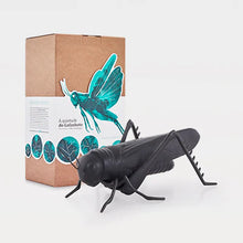 Carregar imagem no visualizador da galeria, Grasshopper - Matt Black with Oxidised Brass
