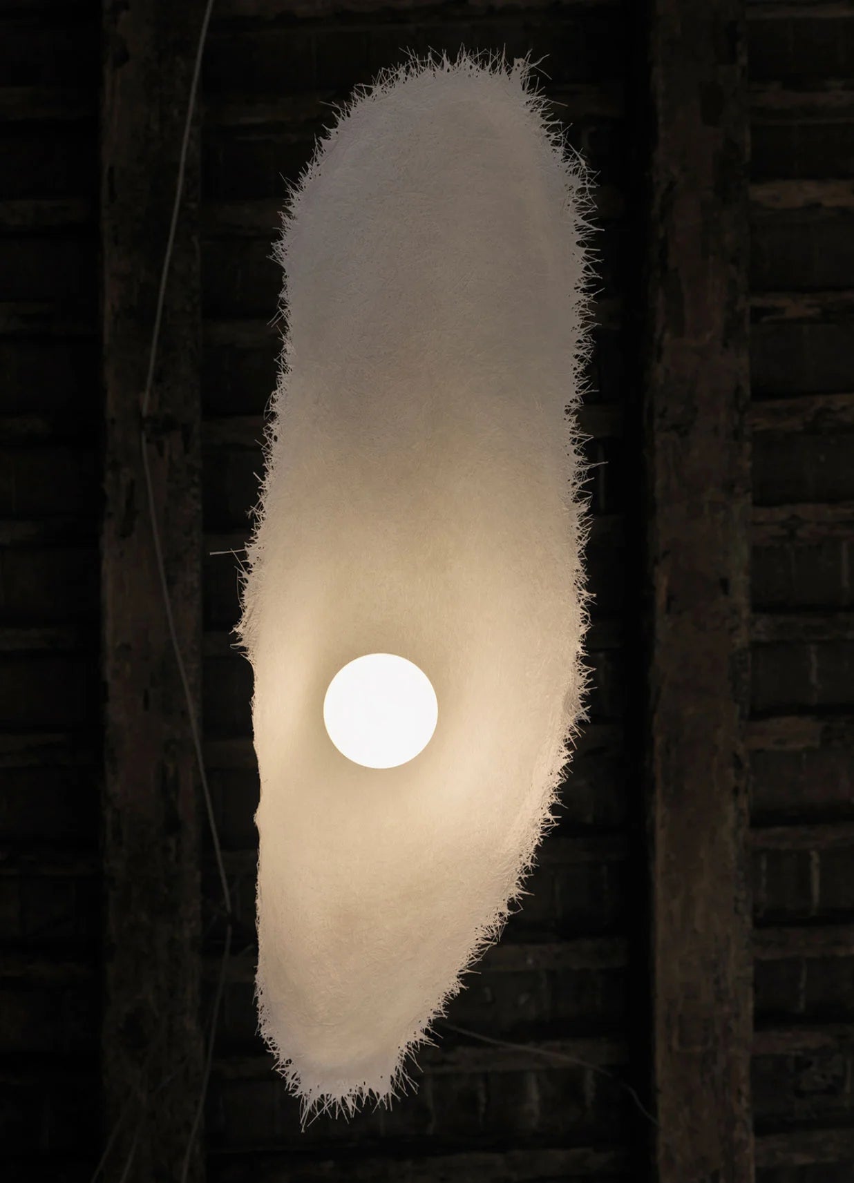 Moby Dick suspension lamp