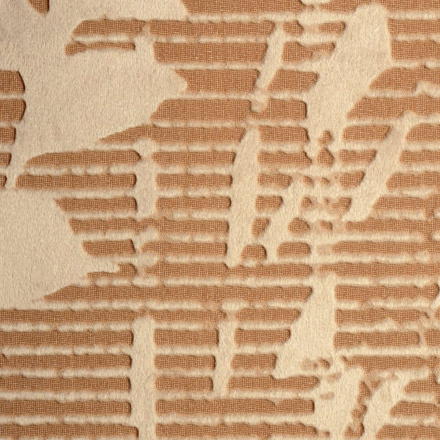 Collection Velatura - Shinrin