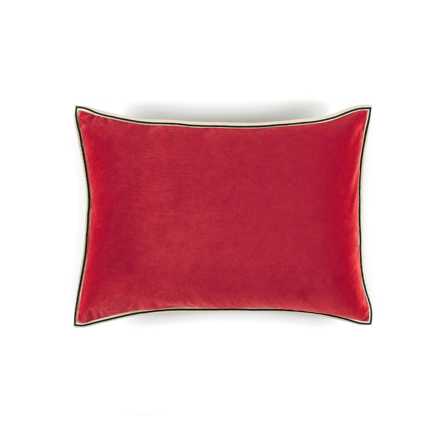 Aristote
