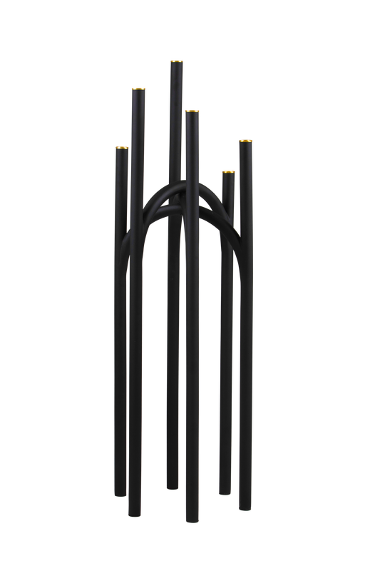 Angui