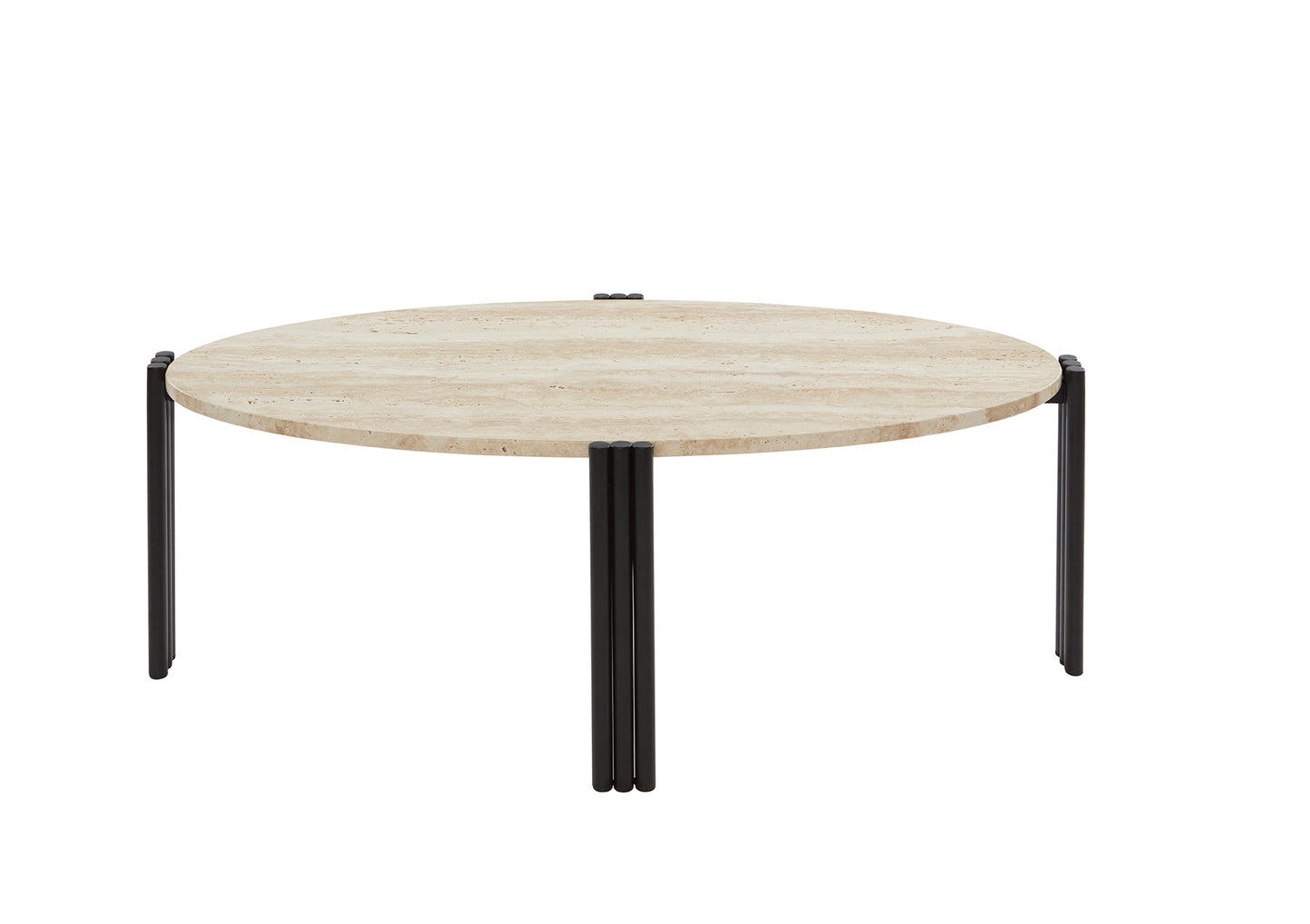 Tribus oval