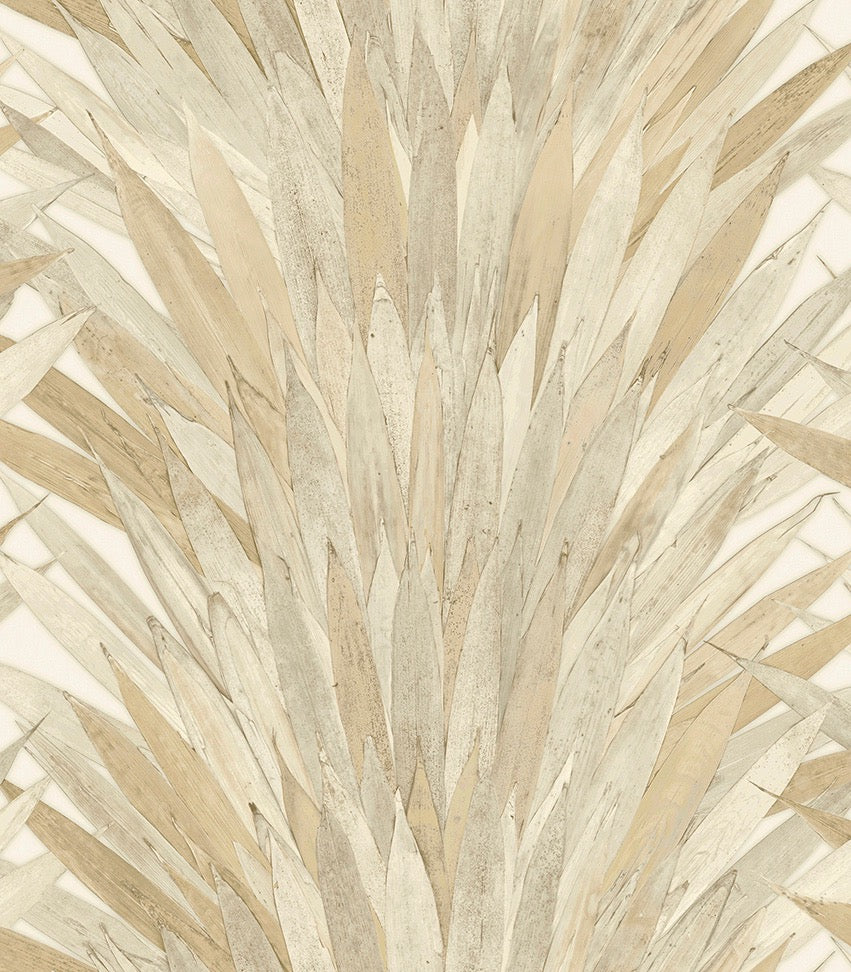 Collection Selva - Pattern Abanico
