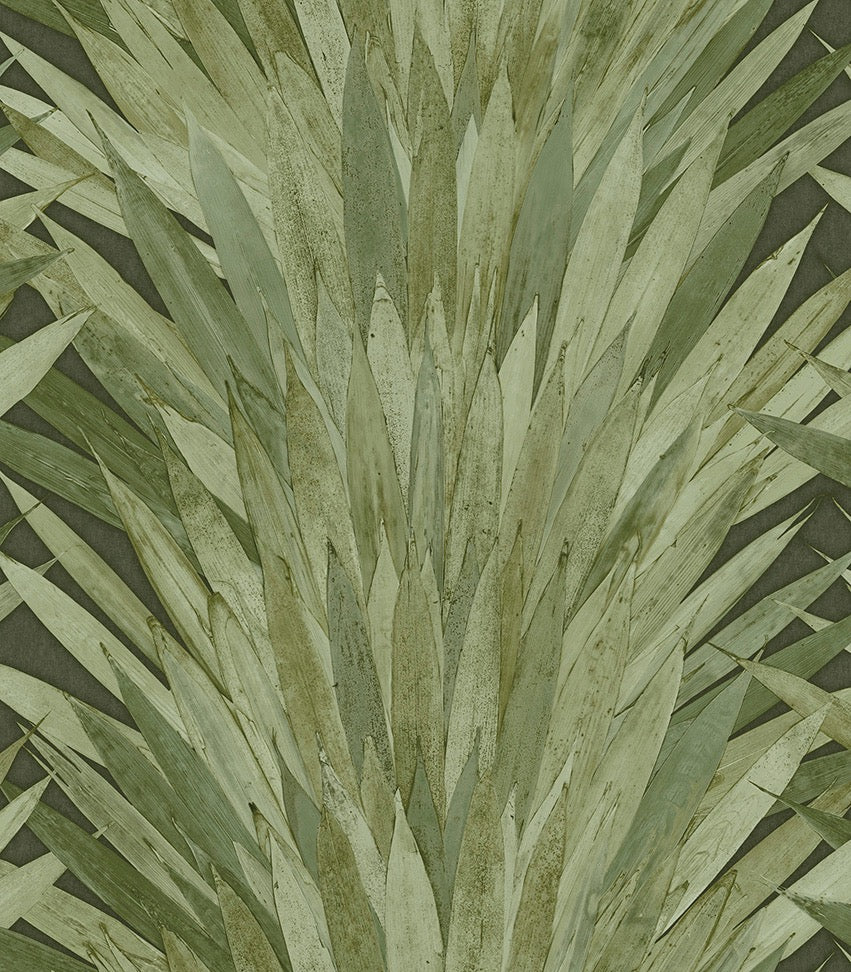 Collection Selva - Pattern Abanico