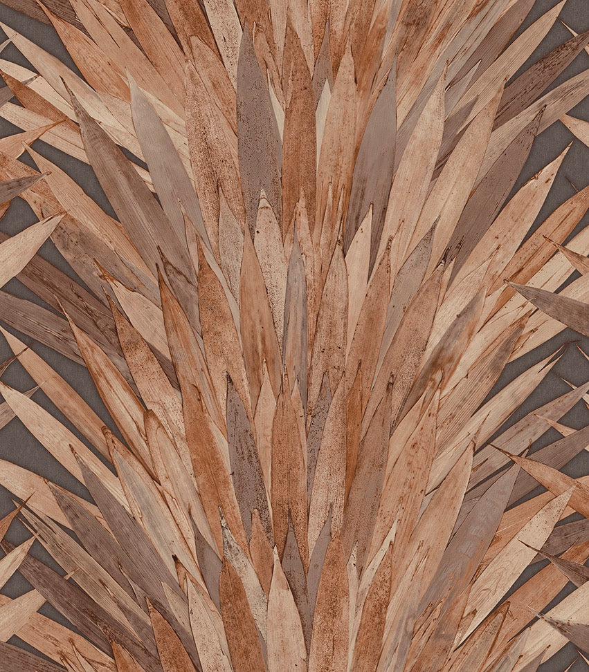 Collection Selva - Pattern Abanico