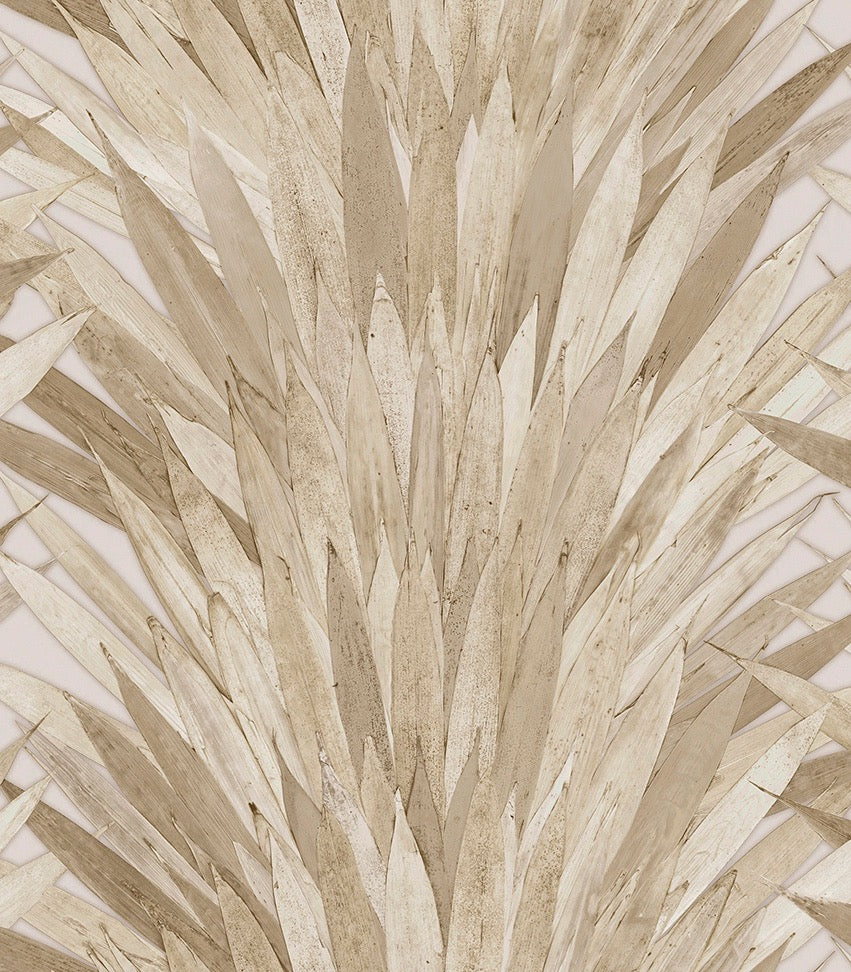 Collection Selva - Pattern Abanico